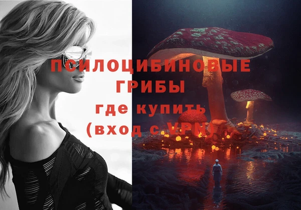 кокаин перу Дмитриев
