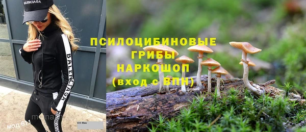ГАЛЛЮЦИНОГЕННЫЕ ГРИБЫ Дмитров