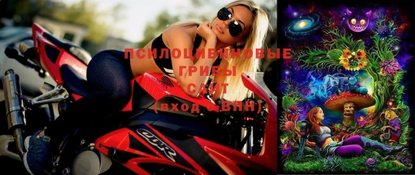индика Ачинск