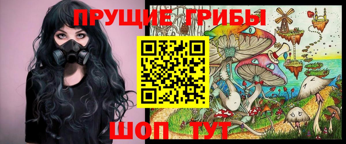 Псилоцибиновые грибы Cubensis  Воткинск 