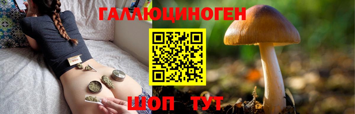 сколько стоит  Вход с VPN  Воткинск  Галлюциногенные грибы Cubensis 